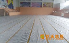 中國體育運動木地板行業協會計劃書