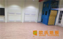 運動木地板構造系統標準