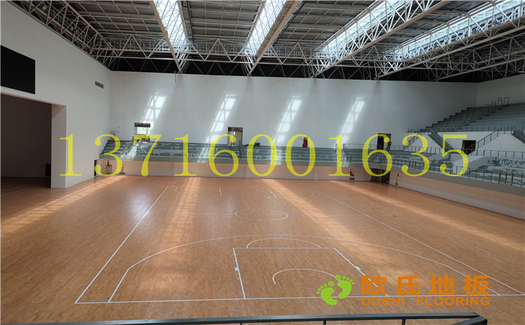 四川達州文理學院體育館木地板案例-歐氏運動木地板廠家
